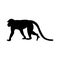 Walking apes monkey with silhouette and line art, ape, chimpanzee