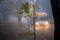 The walking area and the road for cars are in dense fog in the early morning. Traffic in poor visibility. On a foggy autumn street