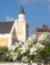 Walking around Petermaai - church and flowers