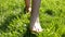 Walking barefoot in the grass - backlight, closeup