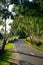 Walking and Bike Riding Path in Forest