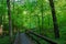 Walking Bridge Natchez Trace Parkway Trail