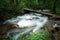 Walking bridge over flowing stream