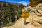 Walking on bright angel trail, Grand Canyon