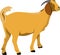 The Walking Brown Goat Vector