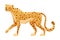 Walking Cheetah as African Large Cat with Long Tail and Black Spots on Coat Vector Illustration