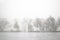 Walking Couple on the bank of Lake in morning in North America