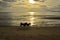 Walking couple dogs on morning beach