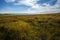 Walking on Dartmoor, Devon, England