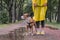 Walking the dog in raincoat on rainy day. Female person and staffordshire terrier dog stand on pavement in urban park in bad