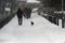 Walking dog in winter