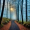 a walking down a path in a forest with sunlight streaming through the trees on a foggy day with sun beams coming through the