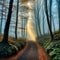 a walking down a path in a forest with sunlight streaming through the trees on a foggy day with sun beams coming through the
