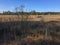 Walking Dunes Trail at Cape Henlopen State Park, Lewes, Delaware                           Ds