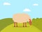 Walking farm Animal Sheep on Grass, Farm Vector