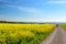 Walking in the fields towards, Audresselles, North pas de Calais, France