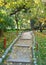 Walking footpath in an autumn Japanese garden
