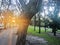 Walking on the footpath seeing sunshine trough trees