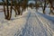 Walking in the frozen sun-drenched landscape means walking on the paths and not disturbing the animals in nature because they do n