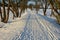 Walking in the frozen sun-drenched landscape means walking on the paths and not disturbing the animals in nature because they do n