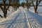 Walking in the frozen sun-drenched landscape means walking on the paths and not disturbing the animals in nature because they do n