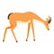 Walking gazelle icon, cartoon style