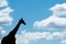 A walking giraffe silhouetted against a blue sky with clouds