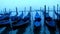 Walking on the Grand Canal in Venice