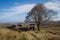 Walking from Haworth to Top Withens and Wuthering Heights