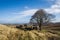 Walking from Haworth to Top Withens and Wuthering Heights