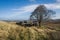 Walking from Haworth to Top Withens and Wuthering Heights