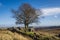 Walking from Haworth to Top Withens and Wuthering Heights