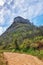 Walking or hiking pathway on a mountainside with green lush plants and flora. Zen nature landscape of rugged dirt trail