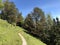 Walking and hiking recreational trails on the mountain Buergenstock or Burgenstock, Ennetburgen or Ennetbuergen