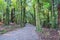 Walking or hiking track through a stand of tall native New Zealand trees with moss covered trunks