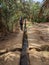 Walking through the Igrane garden near Merzouga, a typical agricultural oasis with small canals