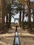 Walking through the Igrane garden near Merzouga, a typical agricultural oasis with small canals