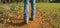 Walking on a leafy track in autumn