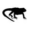 Walking Lizard Lacertilia On a Side View Silhouette Found In Map Of  Warmer Climates Around The World.
