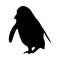 Walking Magellanic Penguin Spheniscus Magellanicus On a Front View Silhouette Found In Map Of South America And Africa