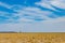 Walking male giraffe, savanna with bushes, cloudy blue sky