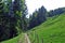 Walking and marked trails on the slopes of the Churfirsten mountain range and in the Obertoggenburg region, Nesslau