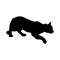 Walking Mountain Lion Felis Concolor On a Side View Silhouette Found In Map Of Central, North And South America.