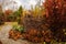 Walking in november garden. Late autumn view with rustic fence