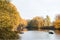 Walking in a park in autumn, some golden trees