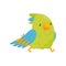 Walking parrot with shiny eyes. Bird character with bright green and blue feathers. Flat vector design