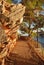 Walking path along the coast Mediterranean sea