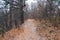 Walking path in the autumn forest, landscape. The forest beckons with picturesque nature at any time of the year.