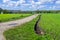 Walking on a path at Carr Mill Dam, St Helens, Merseyside, UK