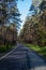 Walking path in a city park. Pedestrian path made in the forest.